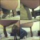 An unseen cameraman video records various woman shitting & pissing into a floor toilet from an under-the-stall perspective. Dozens of scenes with full audio. 207MB, MP4 file. Over 40 minutes.